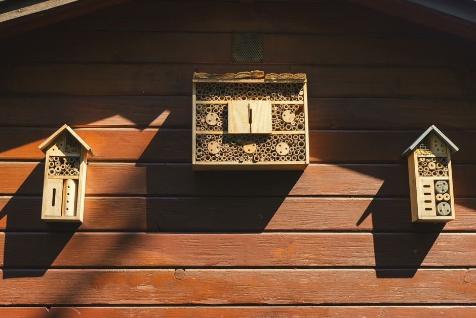 A Wall-Mounted Bee and Insect Hotel