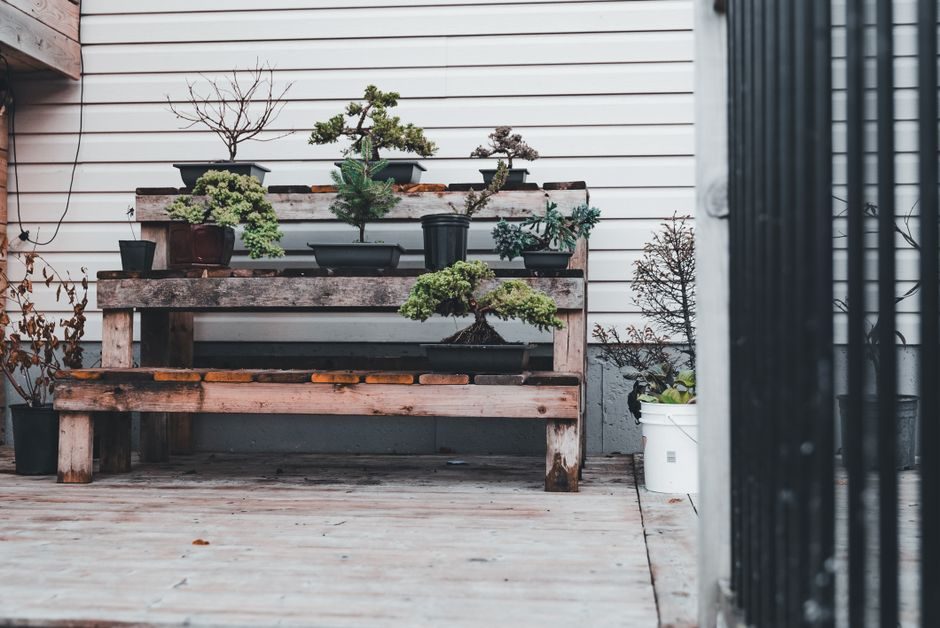 A Softwood Potting Bench with a Tool Rail