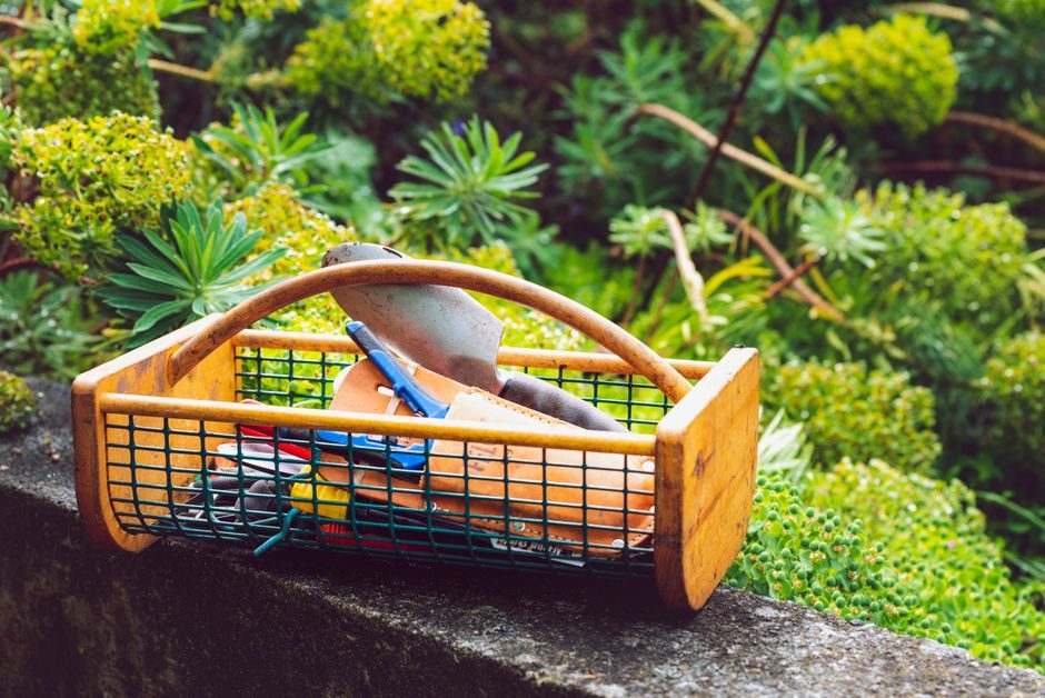 A Pine and Plywood Garden Trug