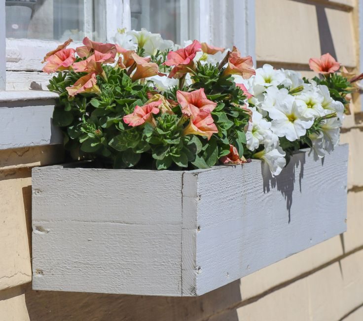 A Cedar Window Box Planter on Mounting Brackets
