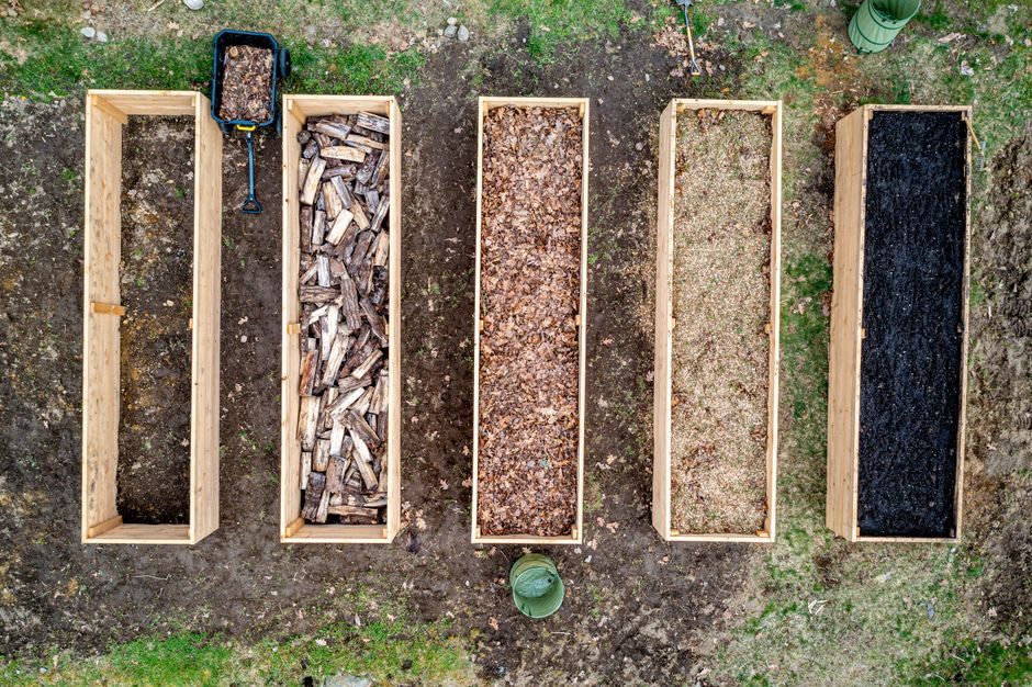 A Cedar Raised Garden Bed